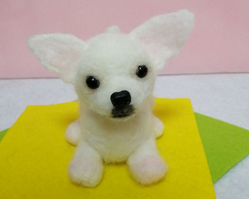 羊毛フェルト犬 チワワ スムースコート ホワイト 羊毛フェルト かおち