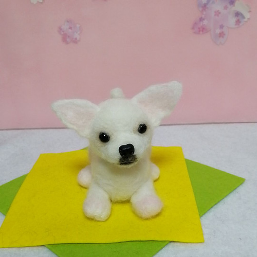 羊毛フェルト カゴ入り ホワイト チワワ（羊毛フェルト にこにこ