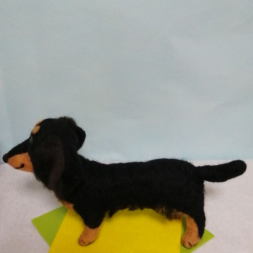 羊毛フェルト犬 ミニチュアダックスフンド ブラックタン 羊毛フェルト