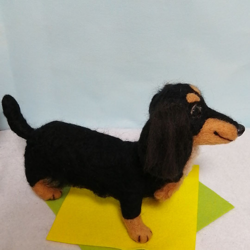 羊毛フェルト犬 ミニチュアダックスフンド ブラックタン 羊毛