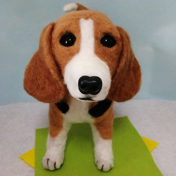 羊毛フェルト犬 ビーグル 羊毛フェルト かおち 通販 12575224