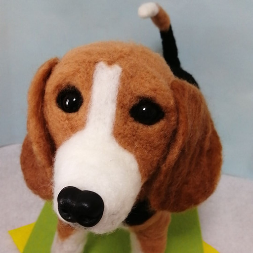 羊毛フェルト犬 ビーグル 羊毛フェルト かおち 通販 12575224