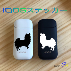 IQOS【アイコス】パピヨン ステッカー 1枚目の画像