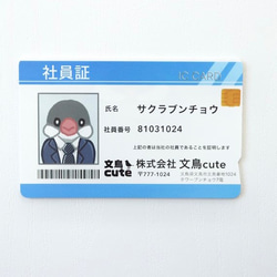文鳥さんの社員証風ICカードステッカー シール・ステッカー 文鳥遊 雛