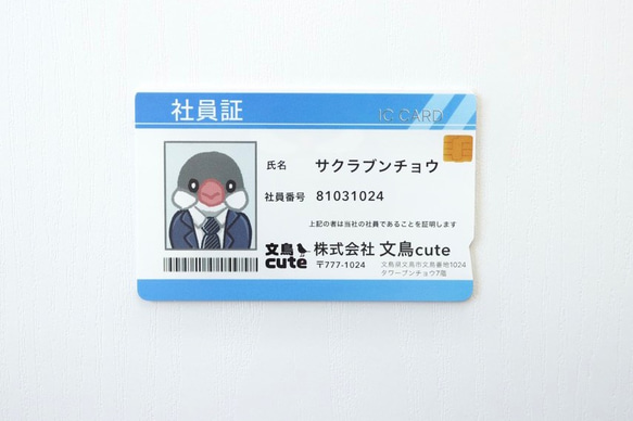 ICカードステッカー  画像 Amazon.co.jp: 星街すいせい ICカード ステッカー シール