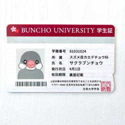 文鳥さんの学生証風ICカードステッカー シール・ステッカー 文鳥