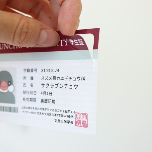 SORA♡JK♡　ICカードステッカー　３枚 Amazon | シール堂 日本製 貼ってはがせる ICカード 情報保護