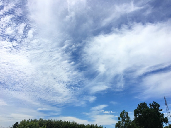 有機米 玄米10kg 6枚目の画像