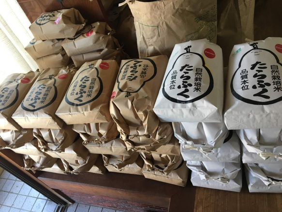 有機米 玄米10kg 7枚目の画像