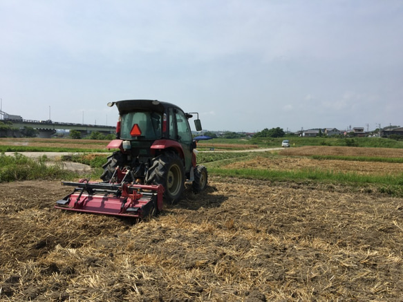 有機米 玄米10kg 9枚目の画像