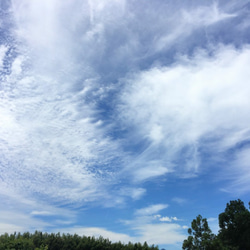 特別栽培米　玄米10kg 6枚目の画像