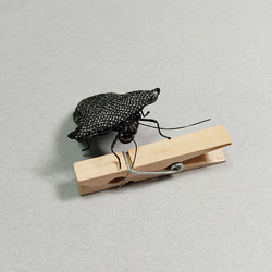 昆虫ブローチ（布）ウシカメムシ 3枚目の画像