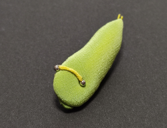 アオスジアゲハの幼虫 2枚目の画像