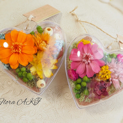 ケイトウのドライフラワー✨49㎝ 秋らしいドライフラワーギフト