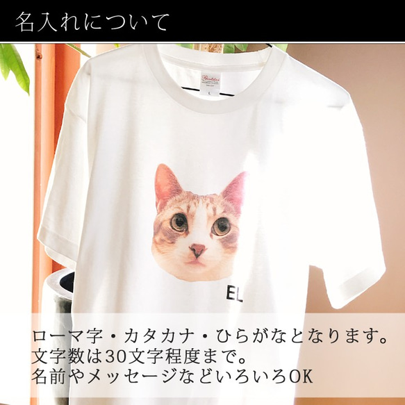【 送料無料 】フォトジェニック 写真 Tシャツ 5.6オンス （S,M,L）  RC014 7枚目の画像