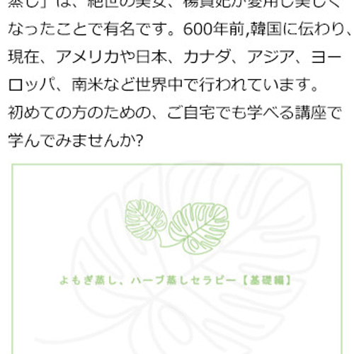 よもぎ蒸しハーブセラピー専用ハーブテント(2重構造)《全4点/2色