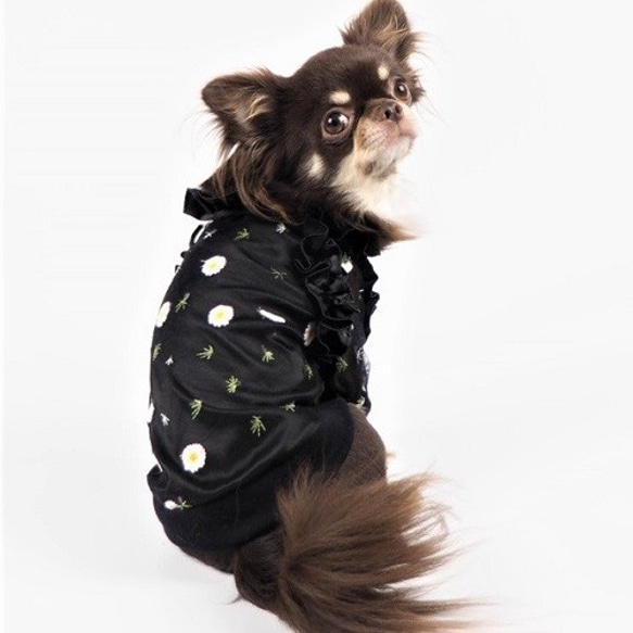 トップス ドッグウェア ピンク ブラック シースルー フラワー 刺繍 ブラック かわいい 犬服 P155 P156 3枚目の画像
