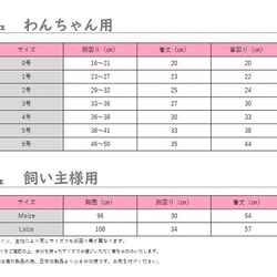  第4張的照片