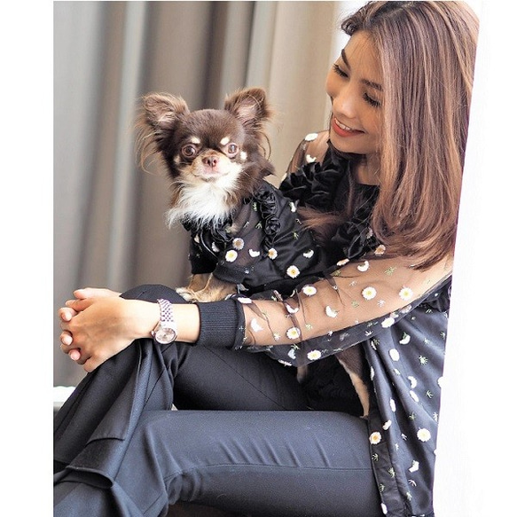 お揃いトップス わんちゃん 飼い主様 親子 姉妹 シースルー 犬服 猫服 ペット P185 P186 