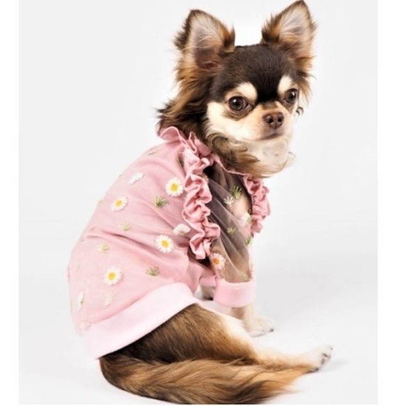 お揃いトップス わんちゃん 飼い主様 親子 姉妹 シースルー 犬服 猫服 ペット P185 P186 