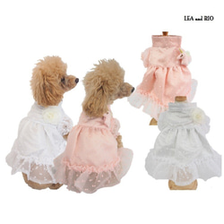 チュニックドレス ワンピース ドレス シースルー ドックウェア 犬用 服 犬服 犬の服 P447 P448 1枚目の画像