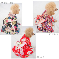 ワンピース 和柄 花柄 着物風 ドックウェア 犬用 服 犬服 犬の服 P470P471P472P473P474P475 8枚目の画像