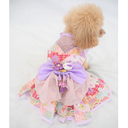 ワンピース 和柄 花柄 着物風 ドックウェア 犬用 服 犬服 犬の服 P476 5枚目の画像