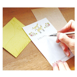 PLANTER グリーティングカード&ミニレターセット <たぬき> 6枚目の画像