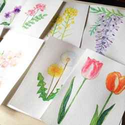 【23枚セット】春の草花フレークシール 全17種類 7枚目の画像