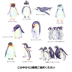 【選べる10種類】絵本風ペンギンさんのステッカー2枚セット　耐水＆UVカット・光沢素材で長期間綺麗 2枚目の画像