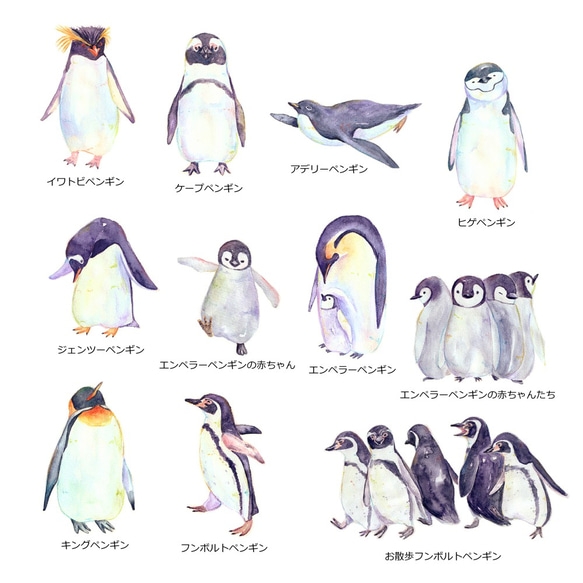 【11種類セット】絵本風ペンギンさんのステッカーミニサイズ　耐水＆UVカット・光沢素材で長期間綺麗 2枚目の画像
