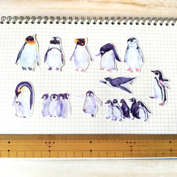 【11種類セット】絵本風ペンギンさんのステッカーミニサイズ　耐水＆UVカット・光沢素材で長期間綺麗 4枚目の画像