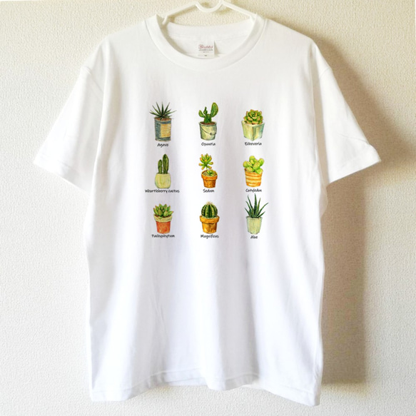 【送料無料】多肉植物とサボテンの植物図鑑風白Tシャツ～子供から大人までみんなで使える13サイズ～ 1枚目の画像