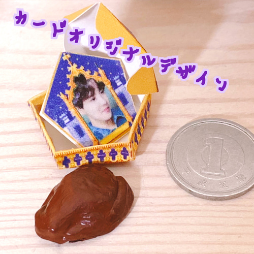 ミニチュアChocolate Frogs カエルチョコ オーダー 可能 その他置物 