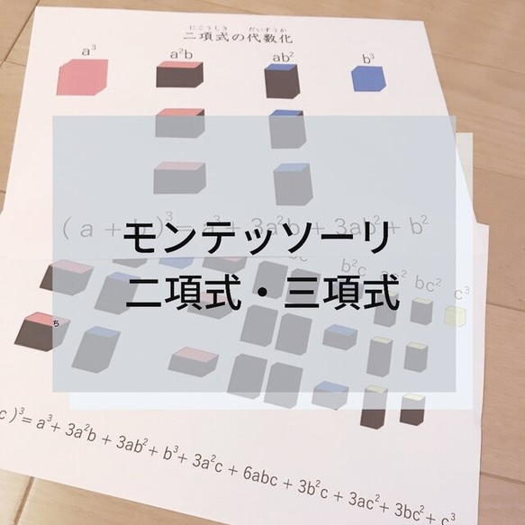 モンテッソーリ　二項式　三項式　セット モンテッソーリ教具 二項式、三項式セット