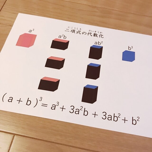 【まめっちょ】二項式、三項式 モンテッソーリ二項式