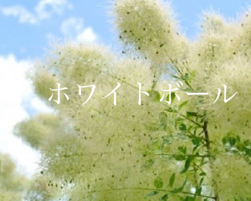 1_d535e57efb129148c7b2c0d46991