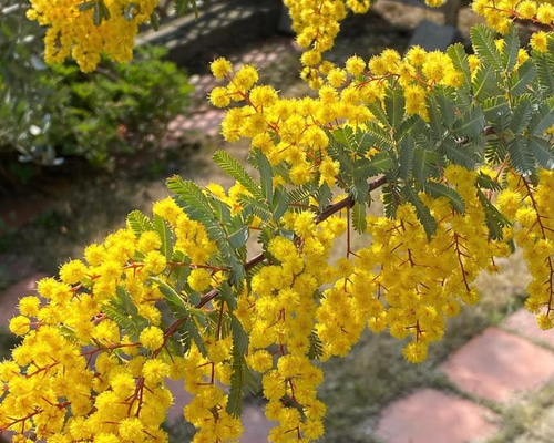 4_f12847d8b3c2522a8e3dd24428a7