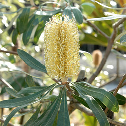 0_7e3fff07c4e49111e3d7b493c130