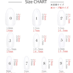 ネイル＊ニュアンスネイル01 3枚目の画像