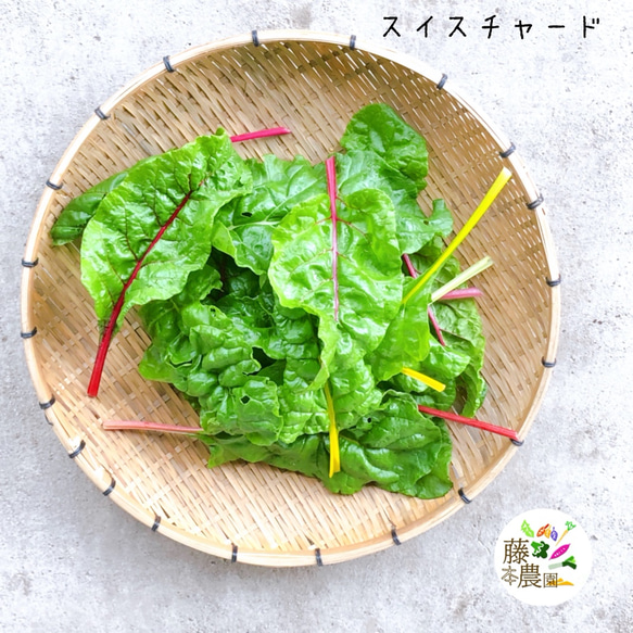 予約販売【2月11日発送分】季節の野菜セット詰め合わせ（7種類程度）/農家直送 9枚目の画像