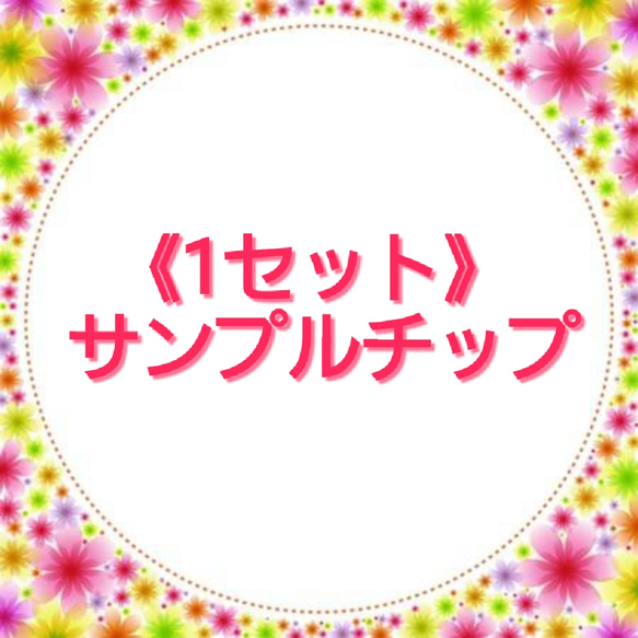 確認用》サンプルチップ 1セット ネイルチップ（つけ爪） Ra_nail 通販 