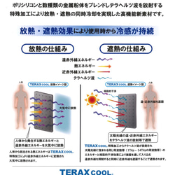 ＣＯＯＬＭＡＳＫ2mesh 息苦しくなりにくい　冷感　繰り返し洗えて使用できる 3枚目の画像