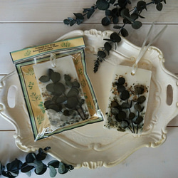  第3張的照片