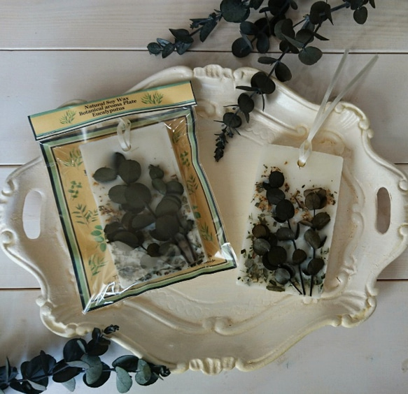  第3張的照片