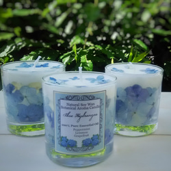 ～Blue hydrangea ～ Aroma Soy candleアニバーサリ✨紫陽花グラスキャンドル 1枚目の画像