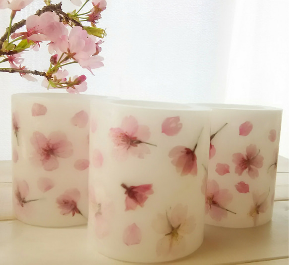 桜✨ランタンキャンドル  100%pure essential oil 3枚目の画像