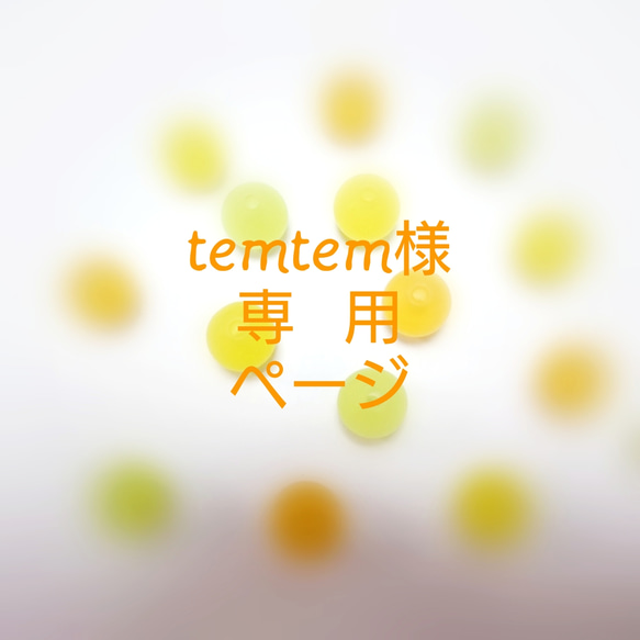 ■■temtem様 専用ページ■■ 1枚目の画像