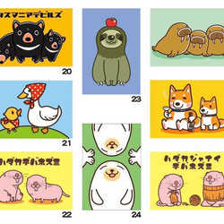 選べる動物ポストカード5枚セット 4枚目の画像