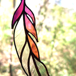 羽根は、桃色に染まって 3枚目の画像